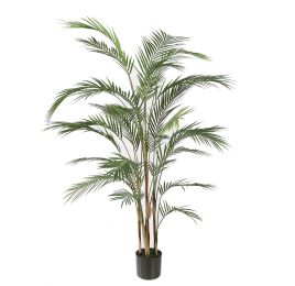 ARECA PALM IN POT 150CM GREEN