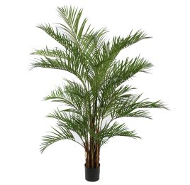 ARECA PALM TREE 230CM GREEN