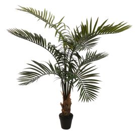 ARECA PALM 90CM GREEN