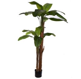 ROYAL BANANA X2 165CM GREEN