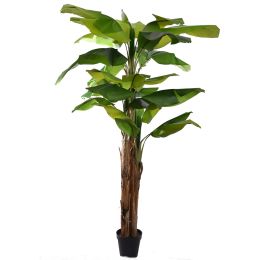 TROPICAL BANANA TREE X3 245CM GREEN
