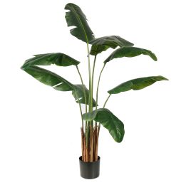 TRAVELLERS PALM 150CM GREEN