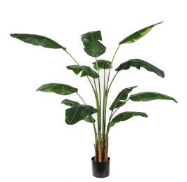 TRAVELLERS PALM 180CM GREEN