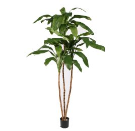CORDYLINE TREE X3 150CM GREEN