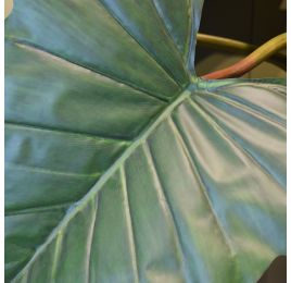 GIANT ALOCASIA TREE 140CM GREEN