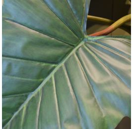 GIANT ALOCASIA TREE X 3 245CM GREEN