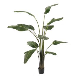 TRAVELLERS PALM 140CM GREEN