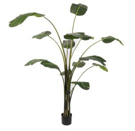 TRAVELLERS PALM 170CM GREEN