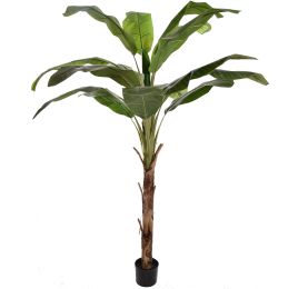 ROYAL BANANA TREE 180CM GREEN