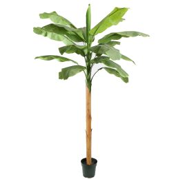 BANANA TREE 270CM GREEN