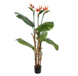 BIRD OF PARADISE PLANT 140CM GREEN