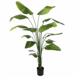 TRAVELLER TREE 210CM GREEN