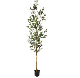 OLIVE TREE 210CM GREEN