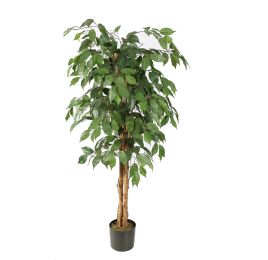 FICUS BASIC 120CM GREEN