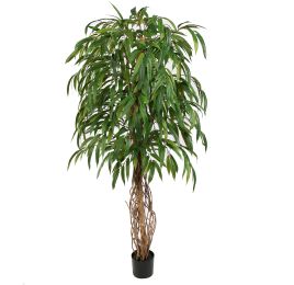 CURVY WEEPING FICUS 180CM GREEN
