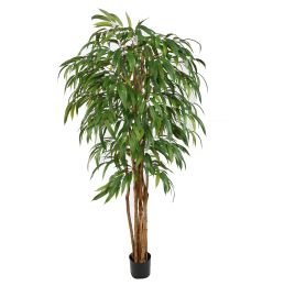 PACIFIC WEEPING FICUS 180CM GREEN