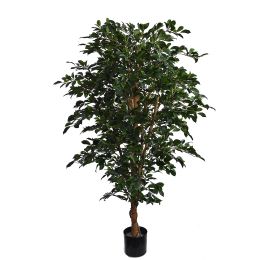 FICUS FOLIA A-TREE 160CM GREEN