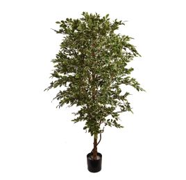 FICUS FOLIA A-TREE 180CM WHITE GREEN