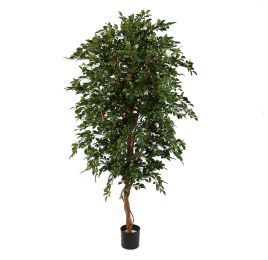 FICUS FOLIA A-TREE 210CM GREEN