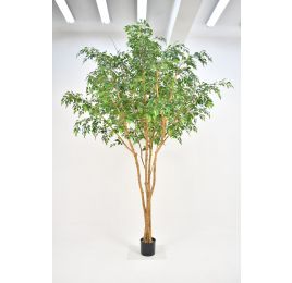 FICUS NATASJA TREE 330CM GREEN