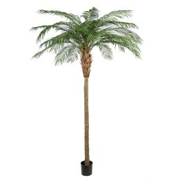PHOENIX PALM X24 270CM GREEN