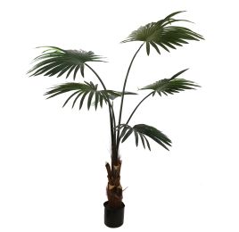 FAN PALM 120CM GREEN