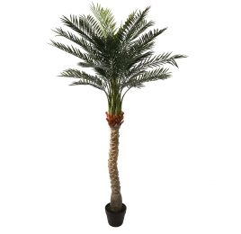 PHOENIX PALM 160CM GREEN