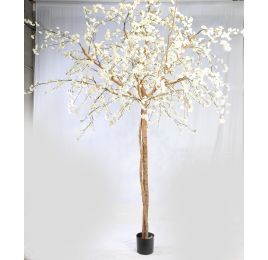 LARGE BLOSSOM TREE 350CM CREAM