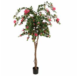 BOUGAINVILLEA TREE 180CM FUCHSIA