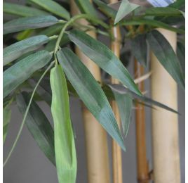 BAMBOO W/GIANT TRUNKS 200CM GREEN