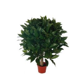 SWEET BAY BALL 35CM GREEN