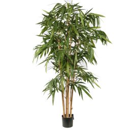 GIANT BAMBOO TREE X 7 180CM W/POT GREEN