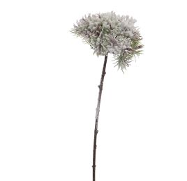 FROSTED QUEEN ANN SPRAY 56CM GREEN