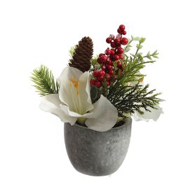 AMARYLLIS ARRANGEMENT IN POT