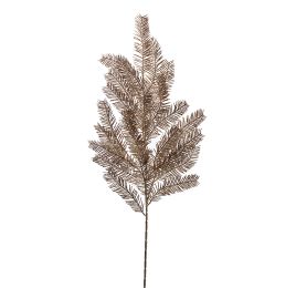 FERN SPRAY CHAMPAGNE