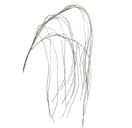 HANGING WILLOW SPRAY GREEN