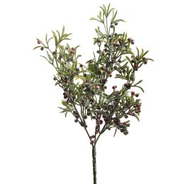 MINILEAF BERRY BUSH X3