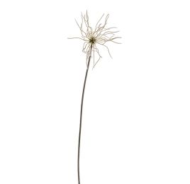 SNOWED SMALL BEAR GRASS 63CM WHITE