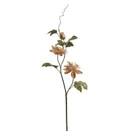 PASSIEFLORA SPRAY GOLD GREEN