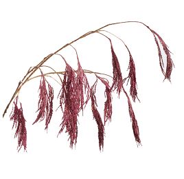RICE SPRAY X12 GOLD STEM 120CM BURGUNDY
