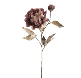 PEONY SPRAY CHAMP STEM 77CM BROWN