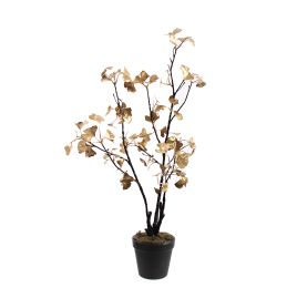 GINKGO BLACK STEM IN POT 66CM GOLD