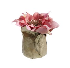 CHRISTMAS ROSE LEAF POT 11CM MAUVE