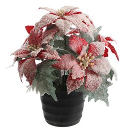 POINSETTIA X5 W/SNOW IN POT RED