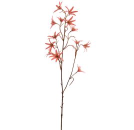 EUCOMIS SPRAY 75CM SALMON