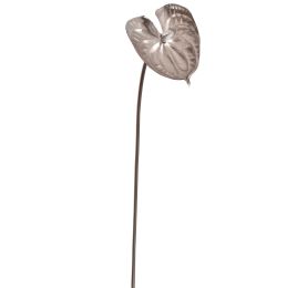ANTHURIUM PU 60CM CHAMPAGNE