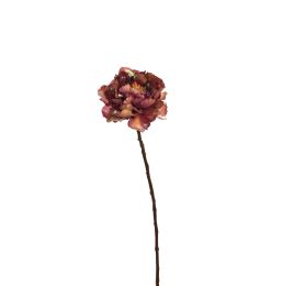 PEONY SHINY 62CM MASSALA