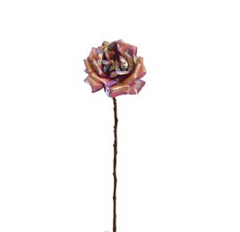 ROSE SHINY 62CM MASSALA