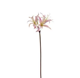 AMARYLLIS SHINY 80CM CREAM PINK