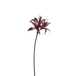 AMARYLLIS SHINY 80CM RED